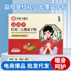 マザーワート、紅花、七人参、ラズベリーパッチ、女性用温湿布ケアパッチ、ヨモギパッチ、お灸パッチ、へそパッチ