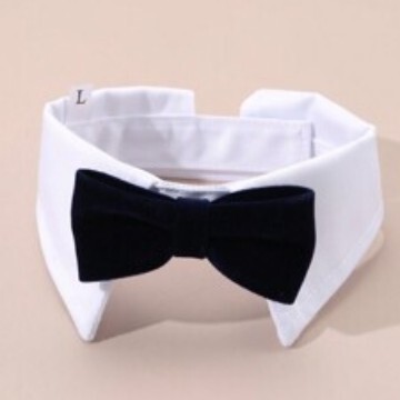 Cross-border exclusive for new pet accessories gentleman suit bow tie cat dog universal adjustable collar Cross-border exclusive for new pet accessories gentleman suit bow tie cat dog universal adjustable collar