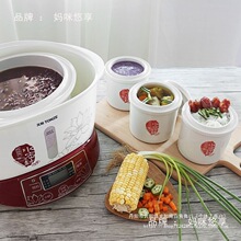 天際電燉鍋全自動隔水燉家用煲湯鍋多功能家庭裝旗艦版燉鍋