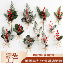 �羳�}�Q�����ɹ�֦ѩ����ᘝ{���t��֦�����b�֦�}�Q��ᘻ���