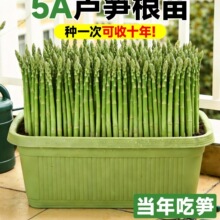 �ļ��J�S���玧�������J�S��N����ѿ�F���̨�Nֲ��������߲���