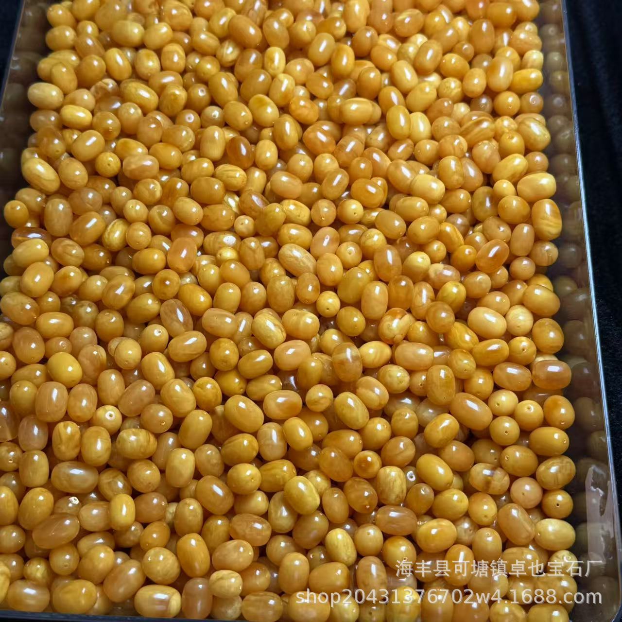 微信图片_202502251827331