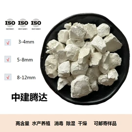 其他颜料;钙氧化物;碳酸钙