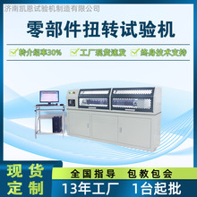 球笼式等速万向节抗扭强度测试仪 半轴扭转试验机 销轴静扭检测仪