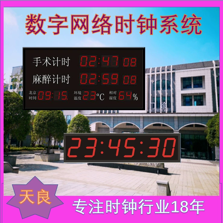 Архитектурная композиция и принцип работы цифровой сетевой системы часового времени для больниц