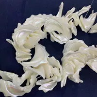 Морская раковина романтический кусок кулон 20-30MMM Подкова улитка дрейф DIY украшения подвеска
