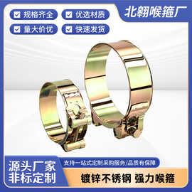 镀锌不锈钢强力喉箍加厚欧式重型管夹抱箍紧箍圈pvc水管固定卡箍