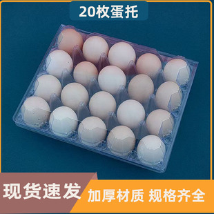 �����u����͸��petһ���������ݚ�20ö������̖��̖�������b��