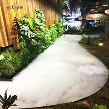 10�^���F���~�ؼ�ɽ���F�����F�C���F���F�������F���^����̫��