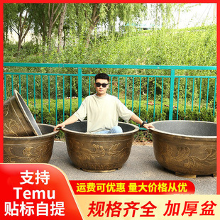 �ش����ϻ������a���l��a�Ӻ��֬����N����ͥԺ�F��N���辰��