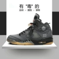 Aj5 black cicada wings
