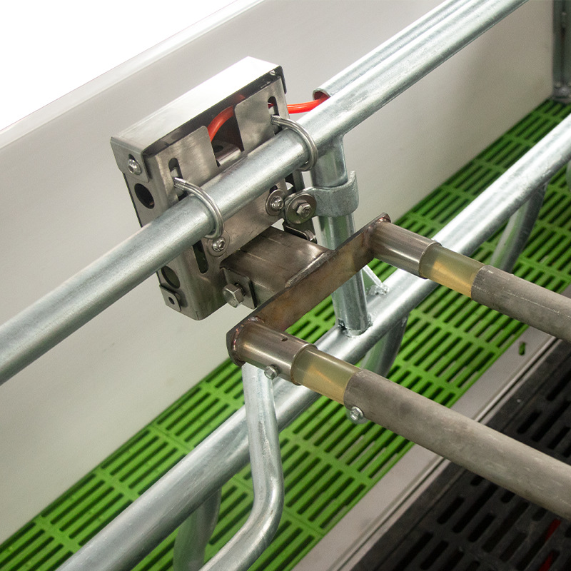 Sistema de elevación automática de la cama de parto de cerdas de alta tasa de supervivencia para aumentar la producción y la alta eficiencia