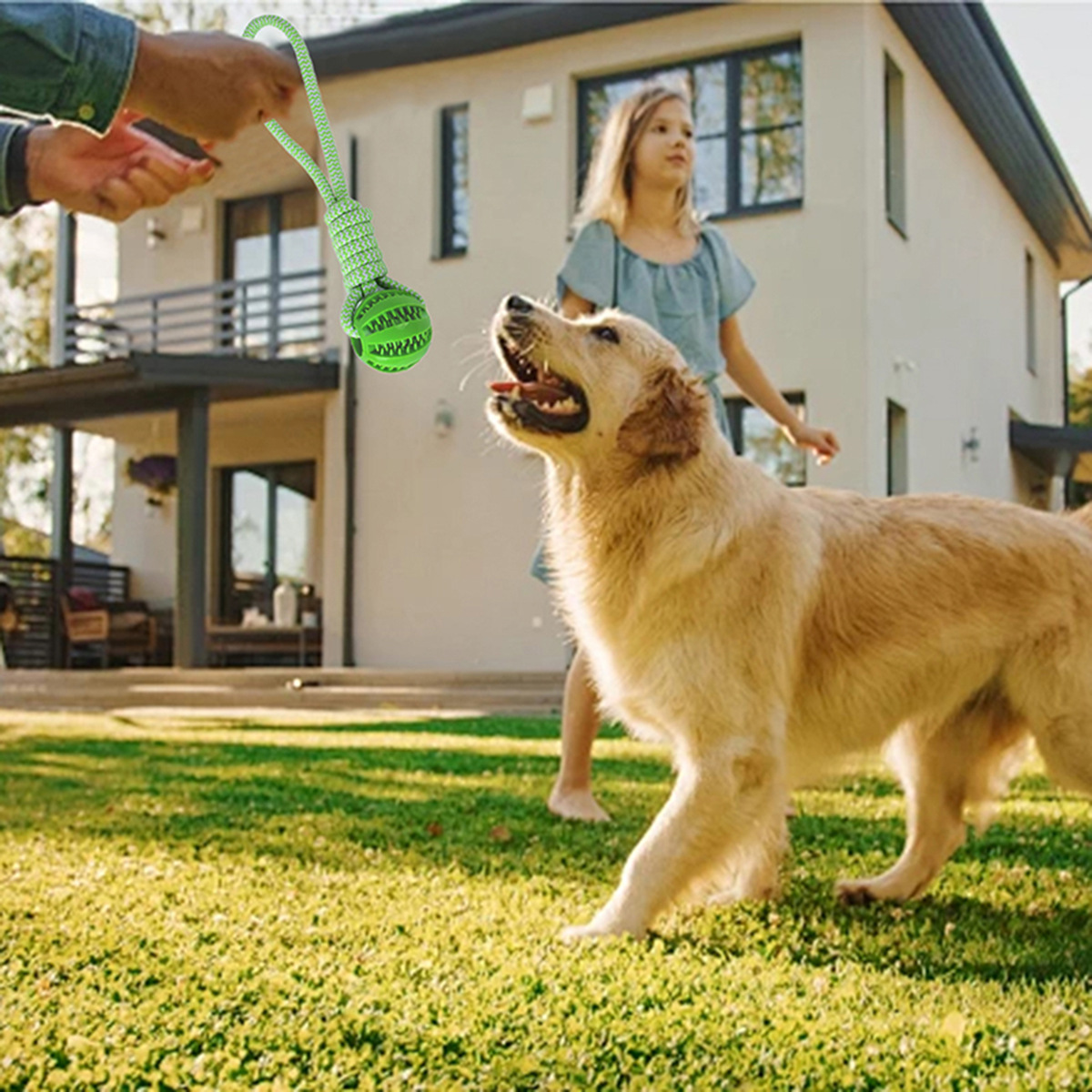 Durable Dog Rope Toy For Interactive Chewing And Teeth Cleaning_voghion.com