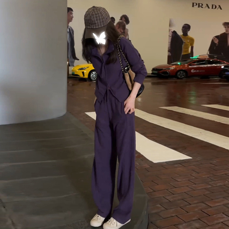 Purple Elegant Fashion Sports Suit for Women Spring & Fall Small Slim Casual Hooded Sweatshirt Wide Leg Pants Two-Piece Set