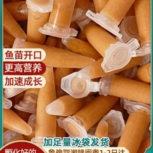 �����S���r���x����S���r�ѷ�����ȸ�~С���~ʳˮĸ���