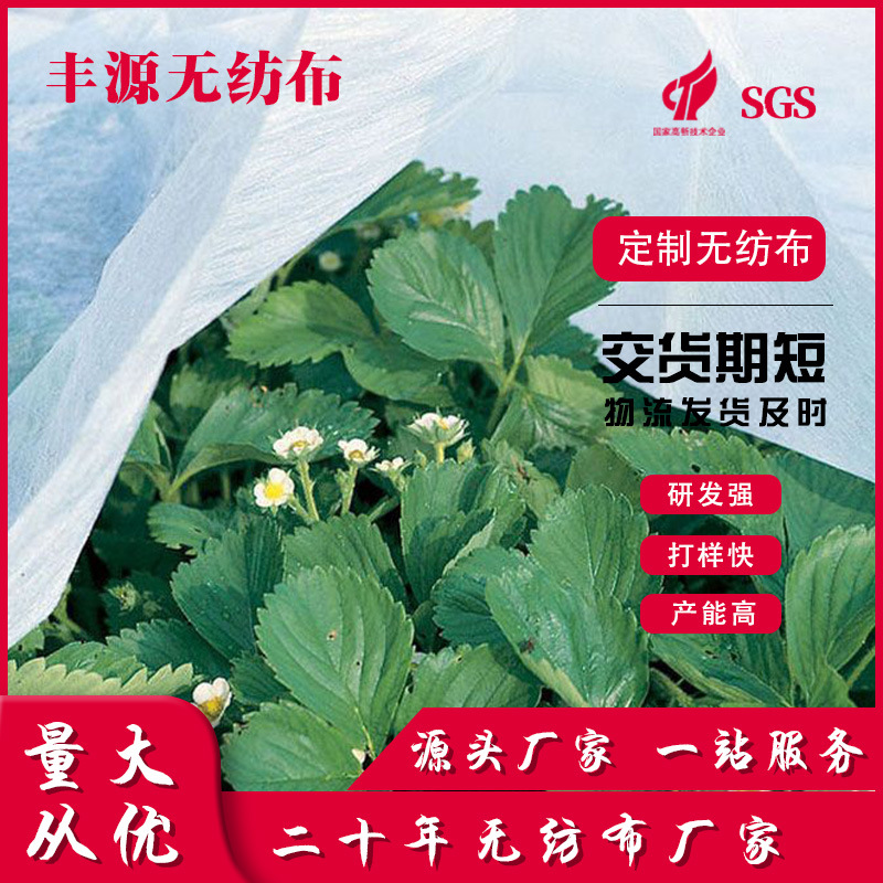 农用无纺布白色PP丙纶防水纺粘布大棚保温保湿防草果园种植覆盖布