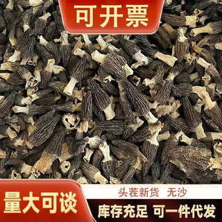 头茬羊肚菌新鲜干货云南土特产食用菌大羊肚菌煲汤当季现货直销