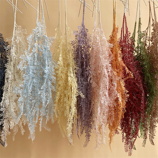 ������ܣ������x�ݵ�����ϻ�c��ɫ�Ųݲ�˹�Fڡ�����ڒ��F���~