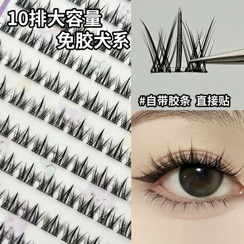 False Eyelash Kit, Self-Adhesive Cluster Lashes, Multi-Style 36–240 Clusters, Compact Tray