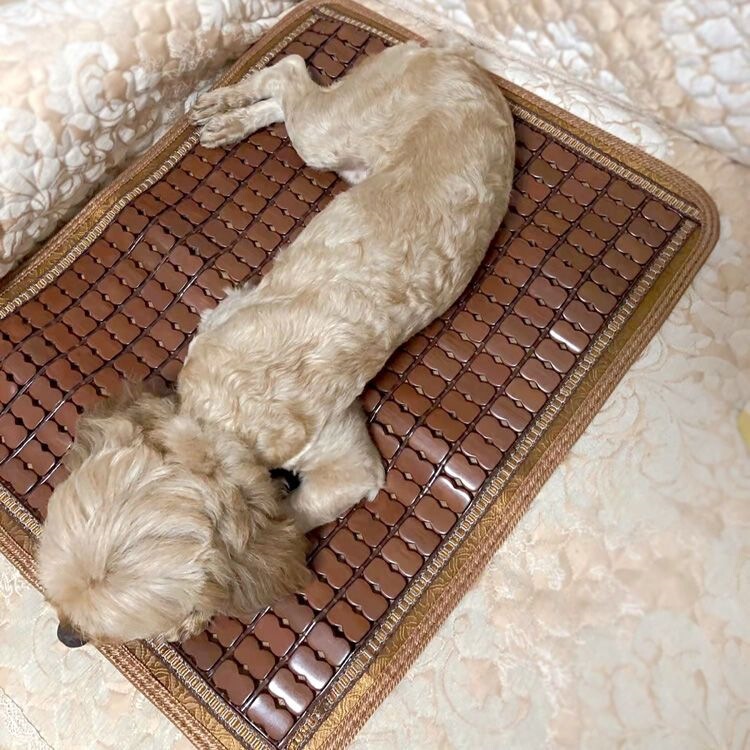 Summer dog cooling mat, pet dog pad, mahjong cat sleeping mat, bamboo mat, dog bed cooling pad, bamboo dog mattress for sleeping