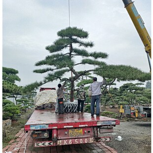 �F�ڬF�u�����ɘ�4-6�״��;��^�� ��˾�S�^ͥԺ�����辰ӭ����