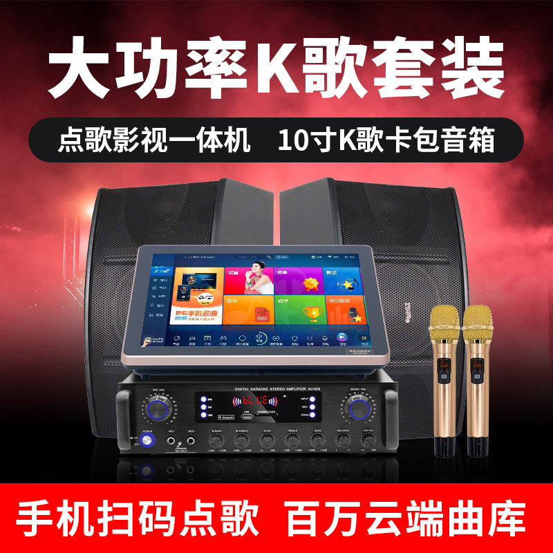 Family singing machine ktv speaker set integrated high-power amplifier 10 inch card audio wireless microphone set