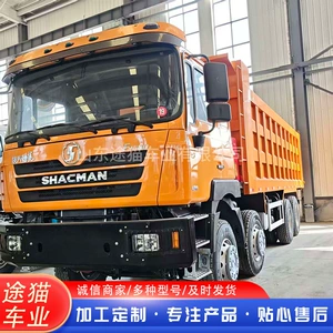 Shaanxi Delong F3000 8X4 mədən mühəndislik yük maşını