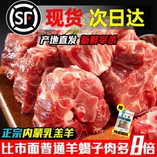 内蒙古羊蝎子新鲜带肉火锅生鲜羊骨头10斤多肉羊脊骨脖骨商用羊肉