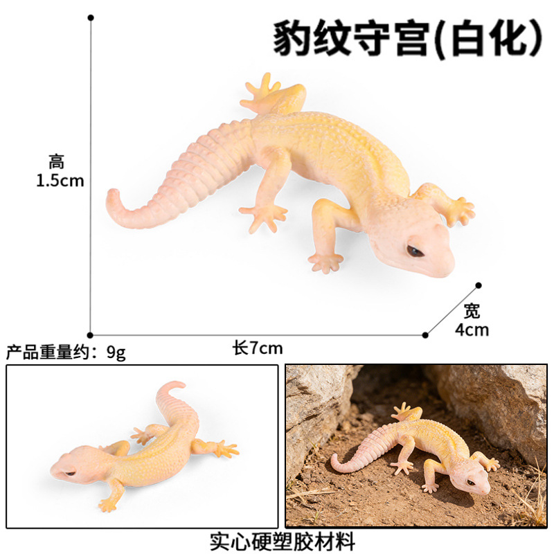 M-2362 Gecko leopardo (albino)
