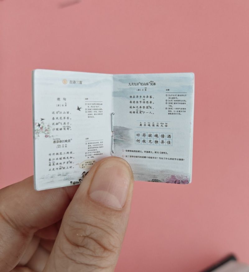 2c252716-c08f-45fb-8129-a3e301e67cdb.jpe