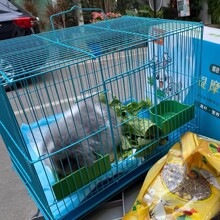 兔子笼家用中小号幼兔小兔笼荷兰猪笼小鼠笼龙猫笼室内带厕所兔笼