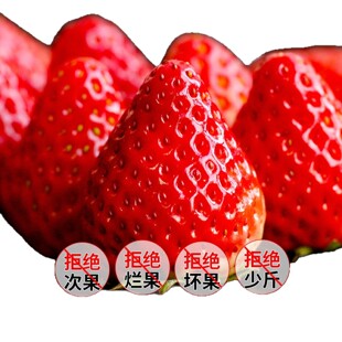 ���|99��ݮ�|�۴�ž�ţ���������ڼt�ݮˮ��99�����Y�����r