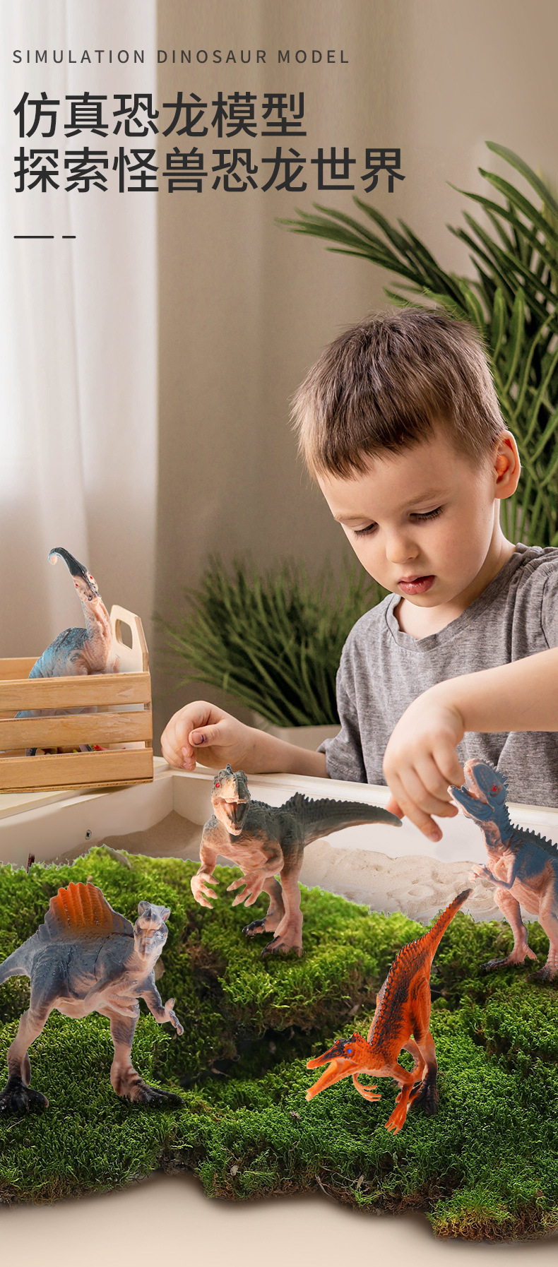仿真恐龙详情第二套_01