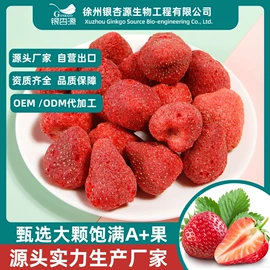 综合蔬果干;草莓干;其他坚果炒货