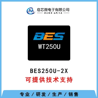 蓝牙IC   WT250U-2X FE版本