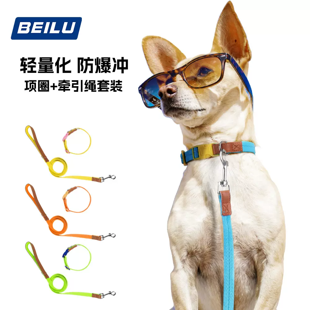 新款狗狗项圈 中小型犬狗项圈牵引套装防挣脱宠物项圈狗狗牵引绳