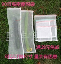 ��90Ŀ�Ϲ����x���B����ωᘷ��״������W����Ͻz���Ϲϻ�����͸