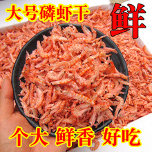 �ϘO���r���׺��r��؛С�t�r���ԕ�ѻ��r���h�����r��չ���[�ؔ�