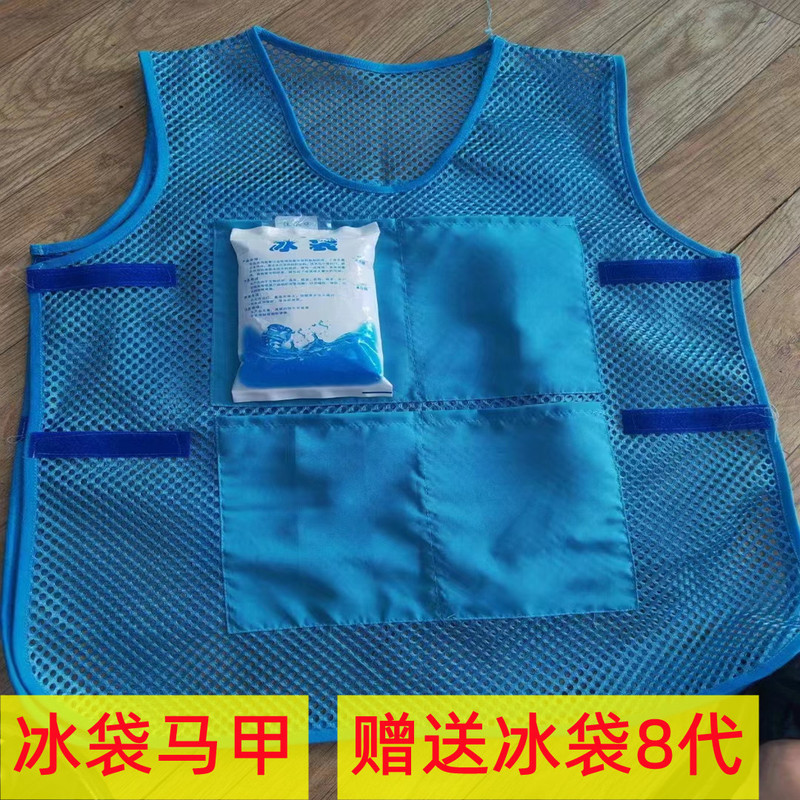 Summer Volunteer Cooling Vest, Ice-Cooled Clothing, Heatstroke Prevention Ice Pack Vest, Volunteer Worker Vest, Free Blue Vest