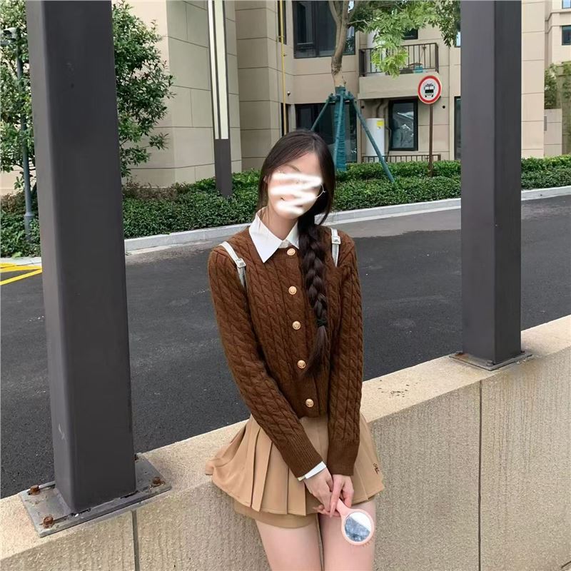 学院复古刺绣麻花开衫毛衣女春秋款韩版小个子长袖短款圆领针织衫|undefined