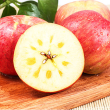 ����ӡ��½������K���O�� ���l3�����rƤ����֭���Ǽt������ˮ��