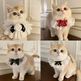 �ɐۺ����Y��Ů؈���ˮ�������L�ٽz�Ȧ��K�朇�����������