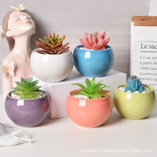 ���s�A���λ������ֲ������㻨���bGֲ���Ի�����S�����l