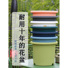 爱丽思Deepot简约北欧树脂控根加仑盆绿萝绣球月季爱丽丝塑料花盆