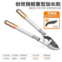 ����ɴ�֦��@����֦���޼���֦�����¿��֦������֦�􉾵���