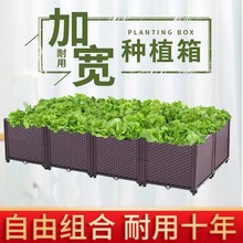 �̨�߲˷Nֲ�����ͥԺ����҃ȽM�b�N���躆�s��ͥ�ˈ@���ϻ���