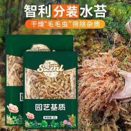 批发 智利水苔干苔藓蝴蝶兰专用基质石斛植物营养土龟蛇垫材