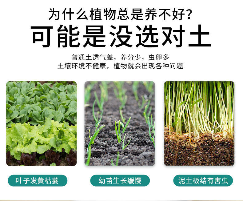 5ee7bca6-f56c-4b3e-8156-00bb61eba410.jpe