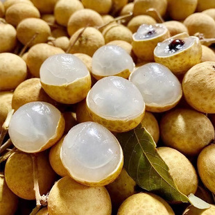 ��S�Fժ���r�������̩�����A���rˮ���r�������l���]