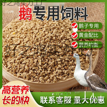 ʢsS80ZιZСZ_ZwȫrBֳ